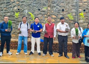 फोनिज काठमाडौँको आयोजनामा वृक्षरोपण तथा पदयात्रा सम्पन्न फोनिज काठमाडौँको आयोजनामा वृक्षरोपण तथा पदयात्रा सम्पन्न