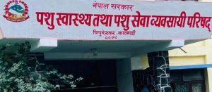 भोटेकोशी बाढीपीडितका लागि पशु स्वास्थ्य तथा पशु सेवा व्यवसायी परिषद्को एक लाख दुई हजार सहयोग भोटेकोशी बाढीपीडितका लागि पशु स्वास्थ्य तथा पशु सेवा व्यवसायी परिषद्को एक लाख दुई हजार सहयोग
