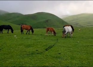 बडीमालिका : जहाँ सौन्दर्यताले मन छुन्छ, धार्मिक आस्थाले आत्मा बडीमालिका : जहाँ सौन्दर्यताले मन छुन्छ, धार्मिक आस्थाले आत्मा