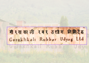 गोरखकाली रबर उद्योग सञ्चालनबारे अन्योल, चर्चा गरियो तर प्राथमिकतामा परेन्
