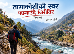तामाकोशीको स्वर पछ्याउँदै जिरीतिर(नियात्रा)