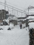 उत्तरी हिल्सा लगायत उच्च भूभागमा हिमपात