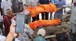 एक महिना मोबाइलको घण्टी कुरे, अन्ततः घाटमा पुग्यो खड्का दम्पतीको यात्रा एक महिना मोबाइलको घण्टी कुरे, अन्ततः घाटमा पुग्यो खड्का दम्पतीको यात्रा