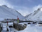 डोल्पा भित्रको विविधता