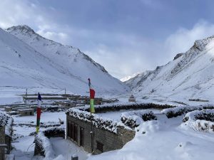 डोल्पा भित्रको विविधता