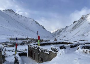 डोल्पा भित्रको विविधता