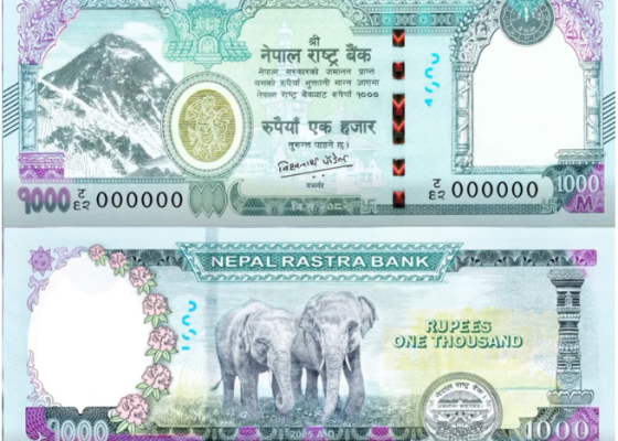 राष्ट्र बैंकले नयाँ सुरक्षा विशेषतासहित एक हजार दरको नोट चलनचल्तीमा ल्यायो