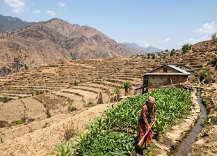 कर्णालीमा खेती गरिएको २७ प्रतिशत जमिनमा मात्रै वर्षभरि सिँचाइ