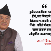 तीजको मूल मर्म जोगाउन भड्किलोपन रोक्नुपर्छ : संस्कृतिविद् टण्डन