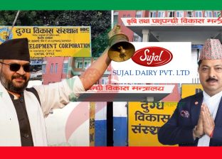पोखरा क्षेत्रमा सुजल डेरीको छायाँमा परेको दुग्ध विकास संस्थान